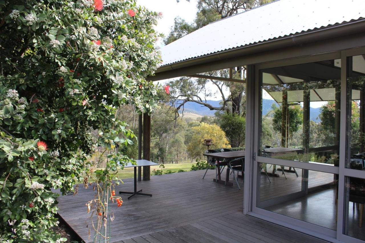 Elfin Hill Vineyard Accommodation Pokolbin Exteriör bild